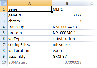 Excel Report